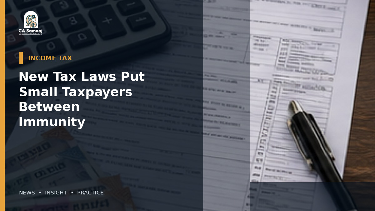 New Tax Laws Put Small Taxpayers Between Immunity and 100% Penalty