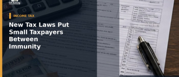 New Tax Laws Put Small Taxpayers Between Immunity and 100% Penalty